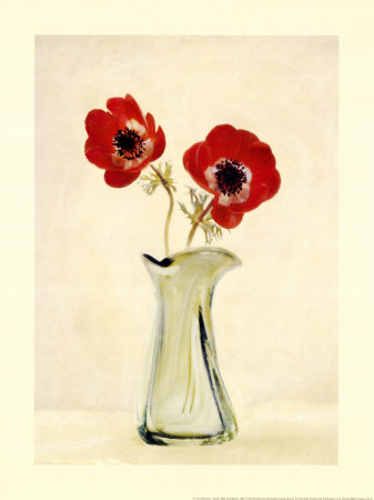 Two Anemones Print Two Anemones Print