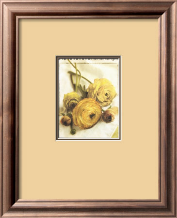 Ranunculus Bouquet Framed Print Ranunculus Bouquet Framed Print