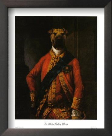 Sir Walter Bark Framed Print Sir Walter Bark Framed Print