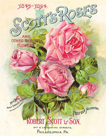 Scott's Roses Tin Sign Scott's Roses Tin Sign