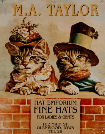 Hats 2 kittens Tin Sign Hats 2 kittens Tin Sign