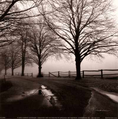 After the Rain Print After the Rain Print