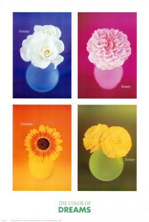 The Color of Dreams Print The Color of Dreams Print