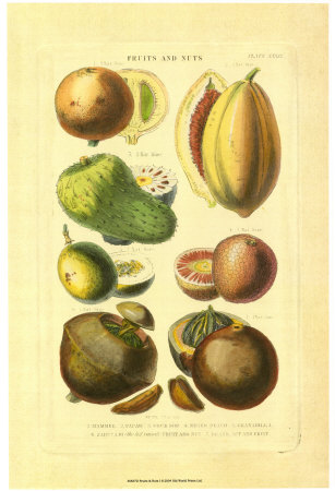 Fruits and Nuts I Print Fruits and Nuts I Print