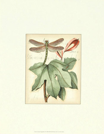 Petite Dragonflies II Print Petite Dragonflies II Print