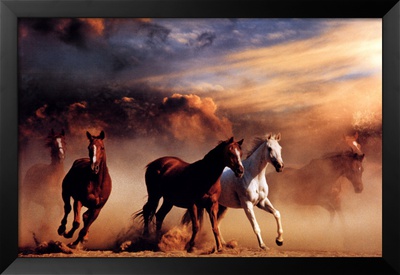 Stampede Framed Poster Stampede Framed Poster