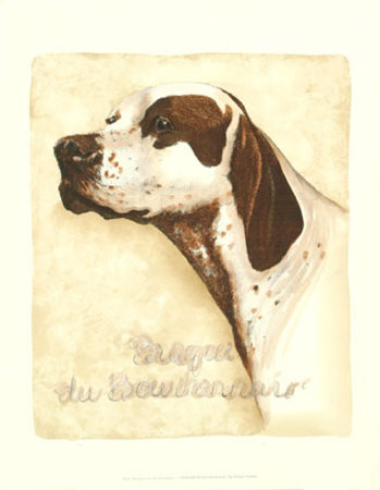 Braque du Bourbonnais Print Braque du Bourbonnais Print