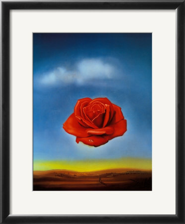 Rose Meditative Framed Print Rose Meditative Framed Print