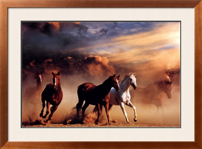 Stampede Framed Poster Stampede Framed Poster