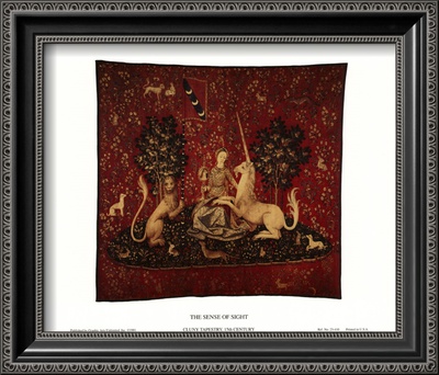 Sense Of Sight Framed Print Sense Of Sight Framed Print