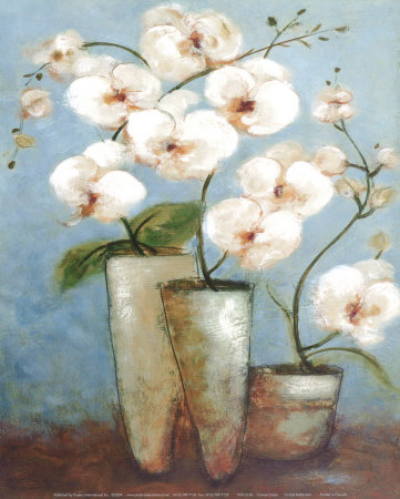 Orchid Ballet Print Orchid Ballet Print