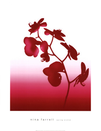 Spring Orchid Print Spring Orchid Print