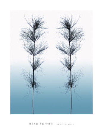 Ice Winter Grass Print Ice Winter Grass Print