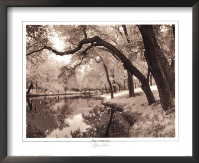 Daydream Framed Print Daydream Framed Print