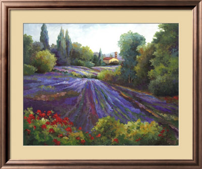 Summer of Lavender Framed Print Summer of Lavender Framed Print