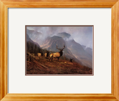 Bookcliffs Elk I Framed Print Bookcliffs Elk I Framed Print