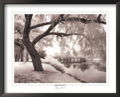 Dreamscape Framed Print Dreamscape Framed Print