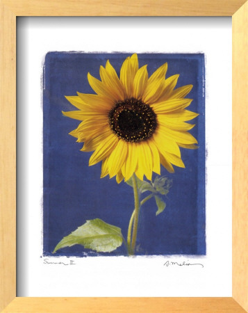 Summer II Framed Print Summer II Framed Print