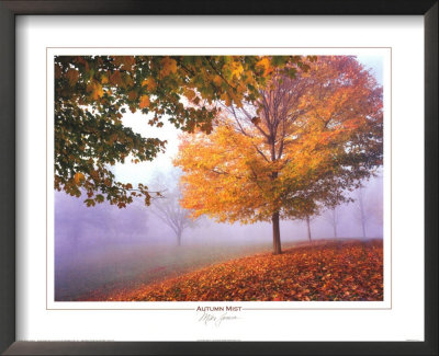 Autumn Mist Framed Print Autumn Mist Framed Print