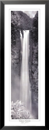 Tropical Paradise Framed Print Tropical Paradise Framed Print