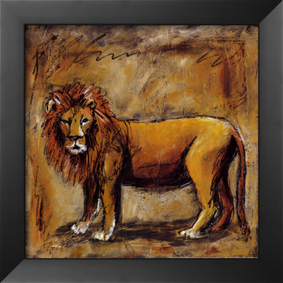 Safari Lion Framed Print Safari Lion Framed Print