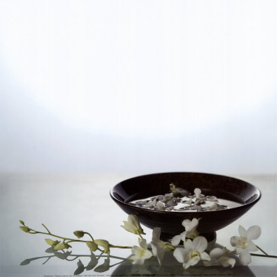 Still Life with Orchids Print Still Life with Orchids Print