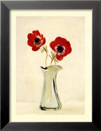 Two Anemones Framed Print Two Anemones Framed Print