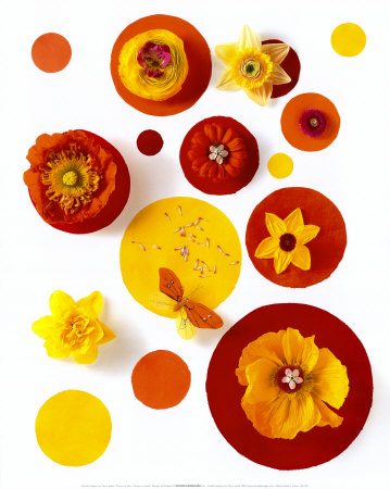 Color of Pasta Print Color of Pasta Print