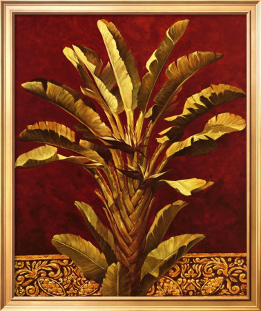Traveler's Palm Framed Print Traveler's Palm Framed Print
