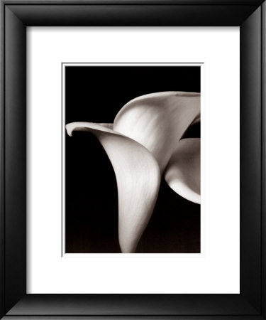 Lilies Framed Print Lilies Framed Print