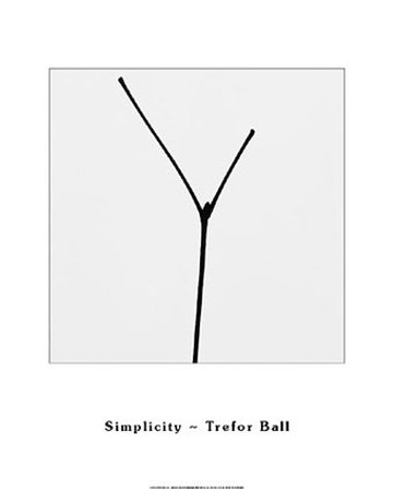 Simplicity Print Simplicity Print