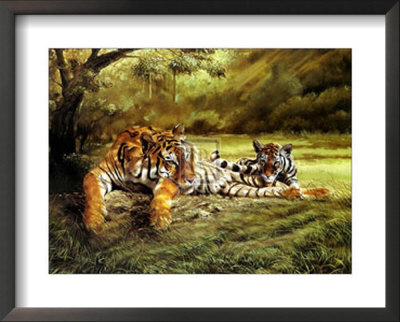 Tiger's Eye Framed Print Tiger's Eye Framed Print
