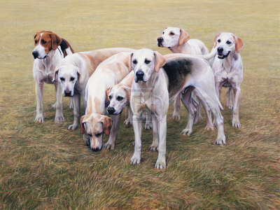 Seven V.W.H. Foxhounds Limited Edition Seven V.W.H. Foxhounds Limited Edition