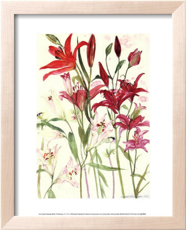 Lilies Framed Print Lilies Framed Print