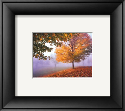 Autumn Mist Framed Print Autumn Mist Framed Print