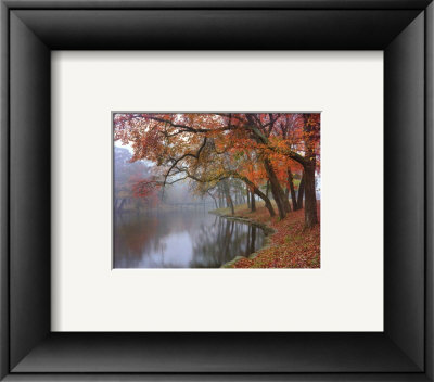 Autumn Reflections Framed Print Autumn Reflections Framed Print