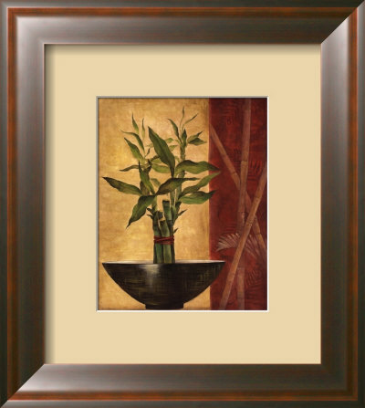 Lucky Bamboo II Framed Print Lucky Bamboo II Framed Print