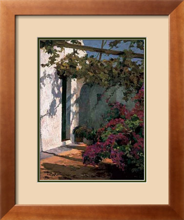 Bougainvillea & Vine Framed Print Bougainvillea & Vine Framed Print