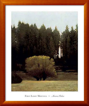 First Light Montana Framed Print First Light Montana Framed Print