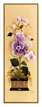 Orchid I Print Orchid I Print