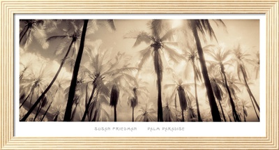 Palm Paradise Framed Print Palm Paradise Framed Print