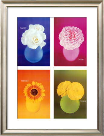The Color of Dreams Framed Print The Color of Dreams Framed Print