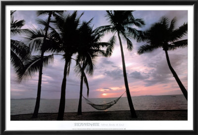 Coconut Palms Framed Print Coconut Palms Framed Print