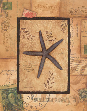 Starfish Print Starfish Print