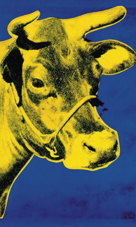 Cow Yellow on Blue Print Cow Yellow on Blue Print