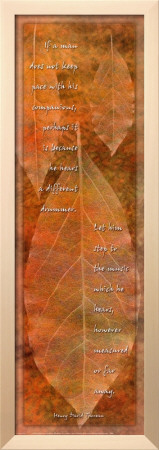 Different Drummer Framed Print Different Drummer Framed Print
