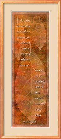 Different Drummer Framed Print Different Drummer Framed Print