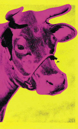 Cow Pink on Yellow Print Cow Pink on Yellow Print