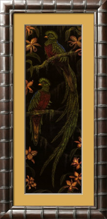 Quetzal II Framed Print Quetzal II Framed Print