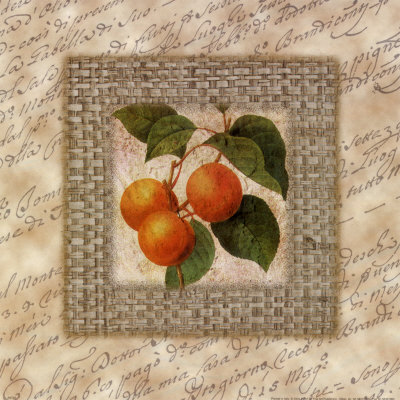 Fruit & Fiber I Print Fruit & Fiber I Print